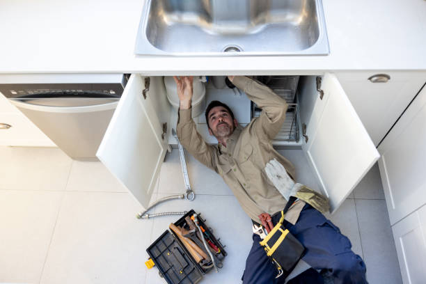 Best Toilet Repair Services  in Penitas, TX