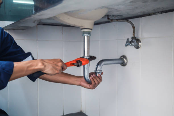Best Plumbing Installation Services  in Penitas, TX