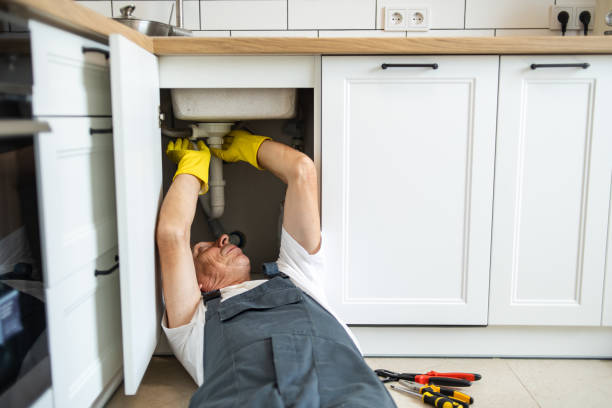 Reliable Penitas, TX Plumbing Solutions