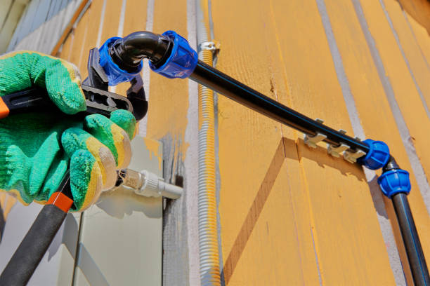 Best Toilet Repair Services  in Penitas, TX