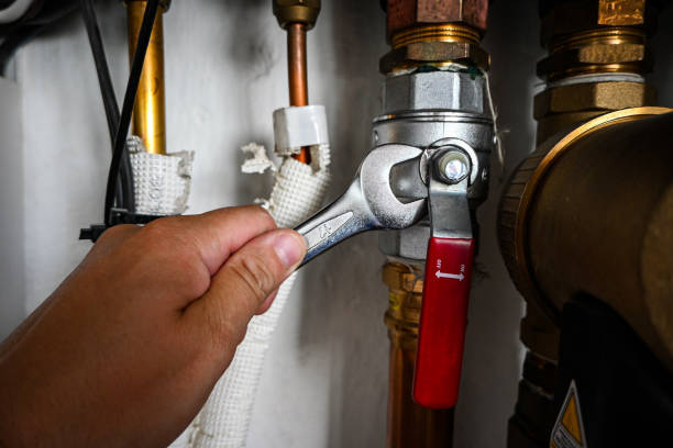Best Sprinkler Systems  in Penitas, TX
